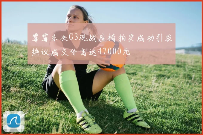霉霉东决G3观战座椅拍卖成功引发热议成交价高达47000元