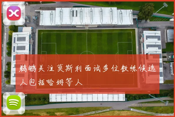 鹈鹕关注莫斯利面试多位教练候选人包括哈姆等人